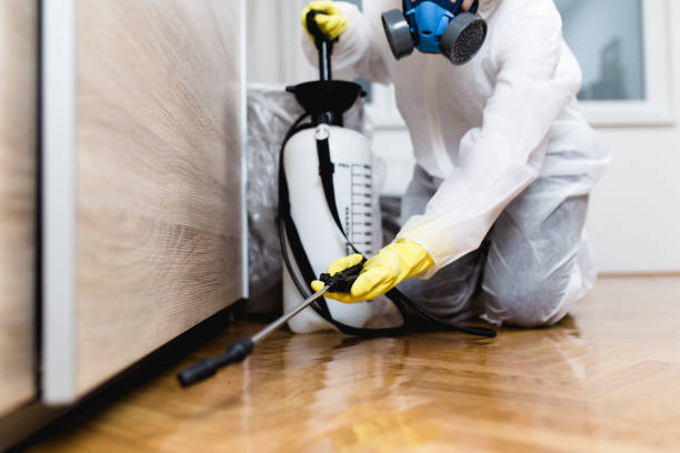 Best Pest Prevention Services  in Ipswich, SD