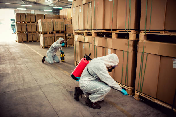 Best Mosquito Control Services  in Ipswich, SD
