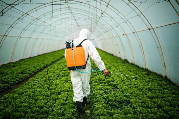 Trusted Ipswich, SD Pest Control Experts