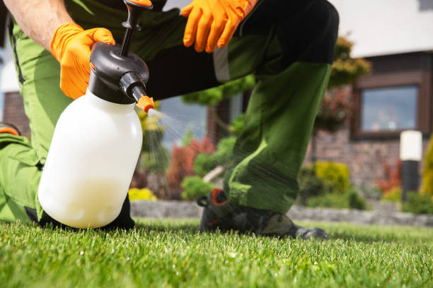 Best Pest Removal Services  in Ipswich, SD