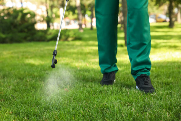 Best Emergency Pest Control  in Ipswich, SD