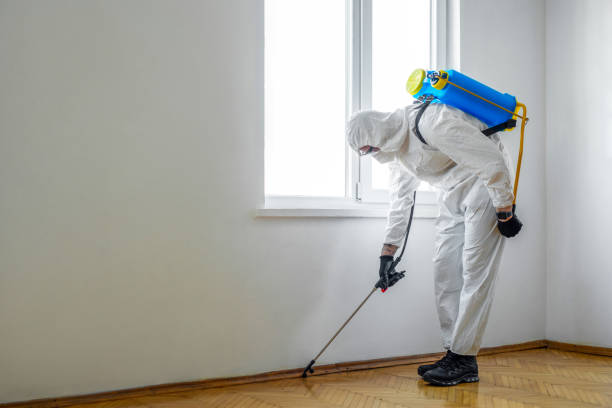Best Exterminator Services  in Ipswich, SD