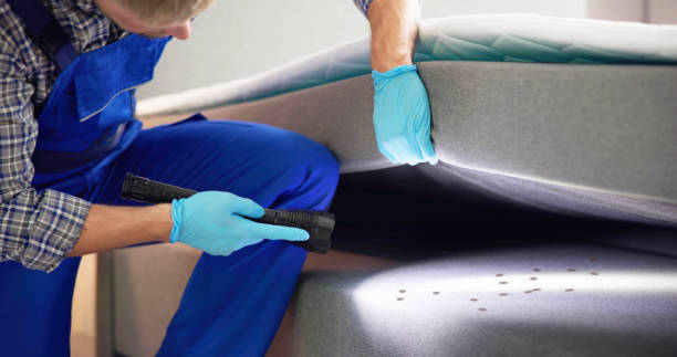 Best Cockroach Control Services  in Ipswich, SD