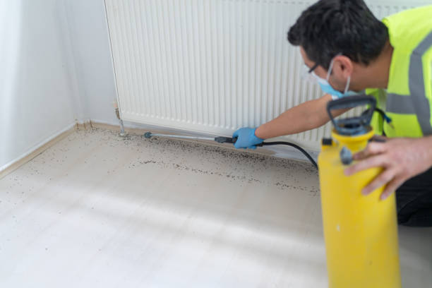 Best Affordable Pest Control Services  in Ipswich, SD