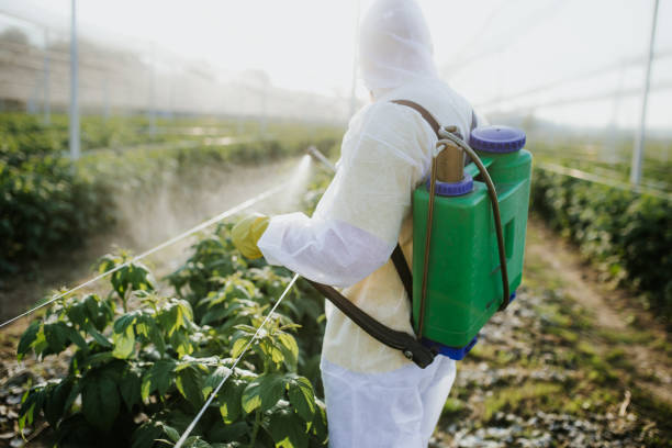 Best Best Pest Control Companies  in Ipswich, SD